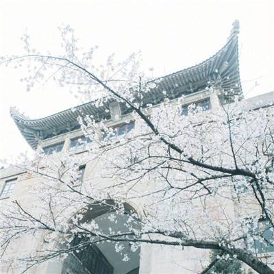 联播快讯：首届北京市冰上龙舟大赛今天举行